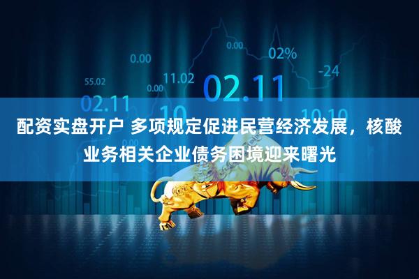 配资实盘开户 多项规定促进民营经济发展，核酸业务相关企业债务困境迎来曙光